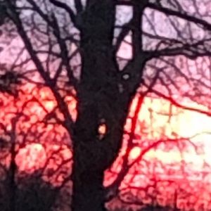 Meet your Posher, Katelyn